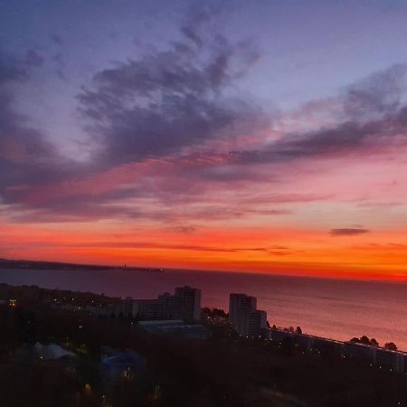 Oase Mit Meerblick, Schwimmbad & Nahe Hansapark, Kostenlos Parken Sierksdorf Dış mekan fotoğraf
