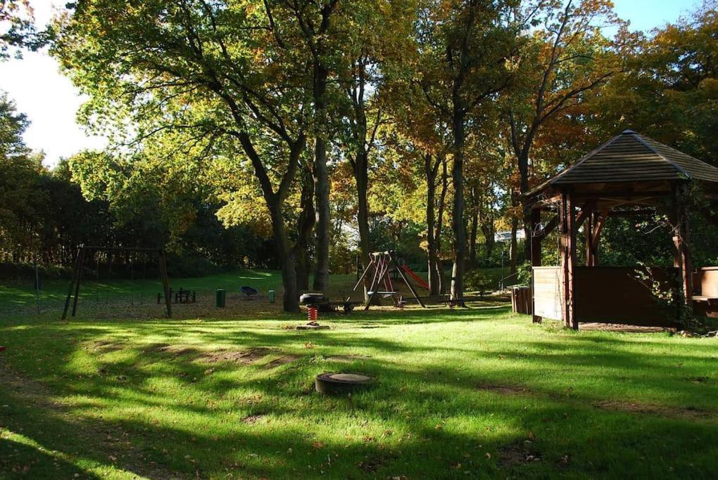 Oase Mit Meerblick, Schwimmbad & Nahe Hansapark, Kostenlos Parken Sierksdorf Dış mekan fotoğraf