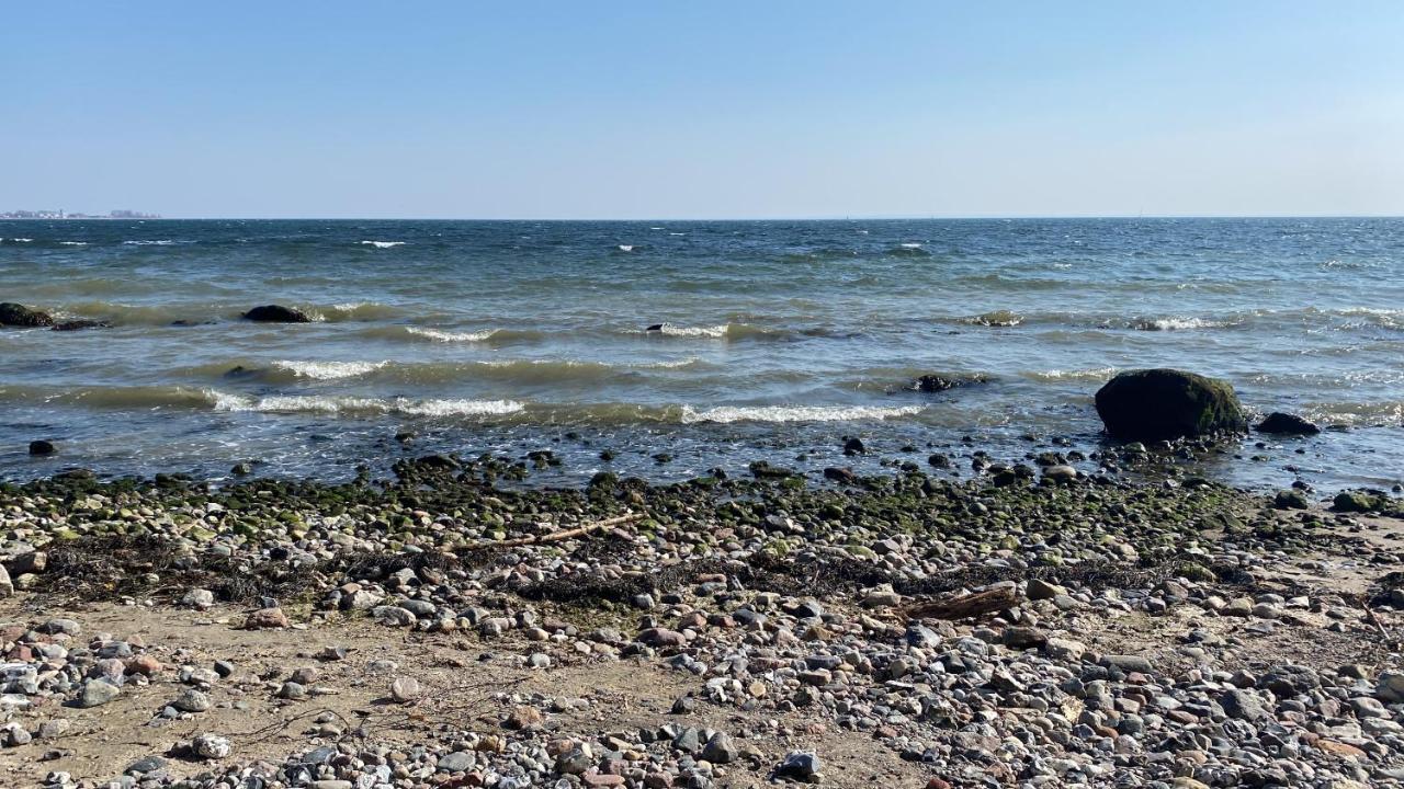 Oase Mit Meerblick, Schwimmbad & Nahe Hansapark, Kostenlos Parken Sierksdorf Dış mekan fotoğraf